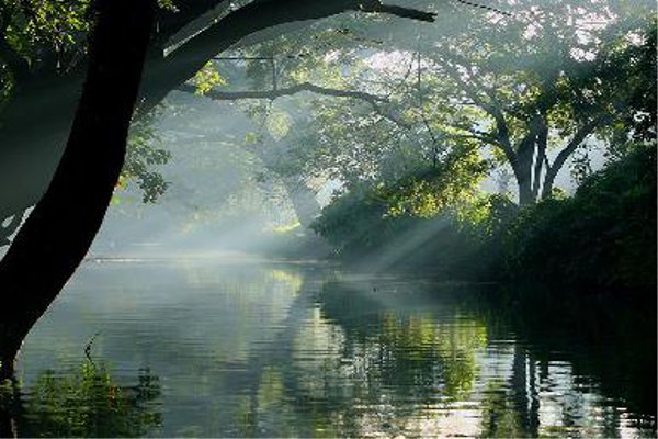 Madikeri